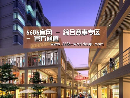 案例展示一(图1)
