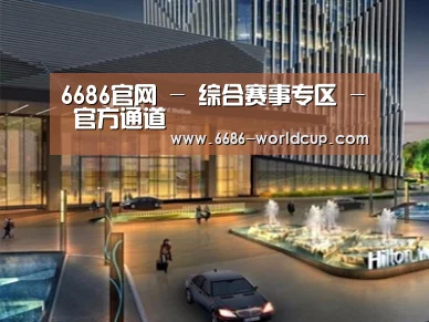 案例展示二