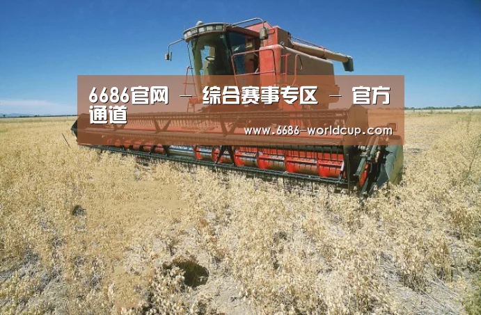 产品名称三