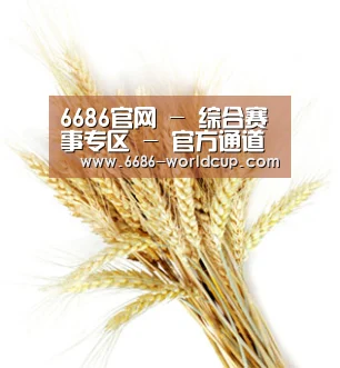 6686官网 - 综合赛事专区 - 官方通道
