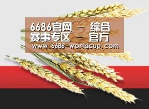 6686官网 - 综合赛事专区 - 官方通道