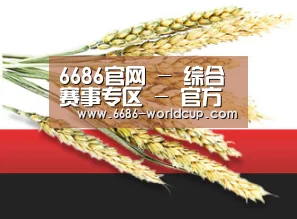 6686官网 - 综合赛事专区 - 官方通道