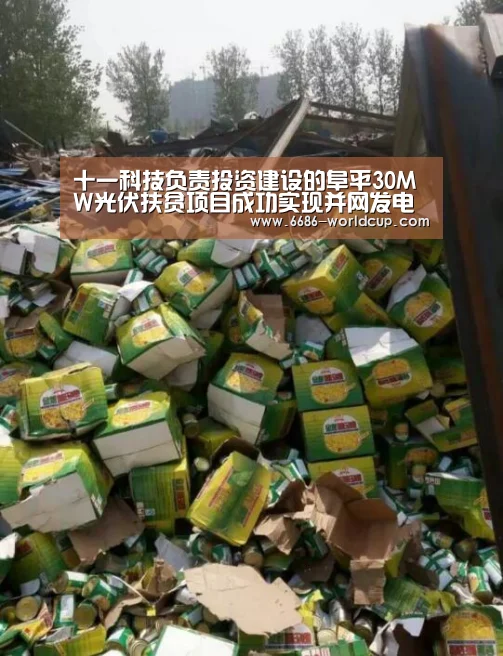 十一科技负责投资建设的阜平30MW光伏扶贫项目成功实现并网发电-6686快讯(图3) 十一科技负责投资建设的阜平30MW光伏扶贫项目成功实现并网发电-6686快讯(图3)