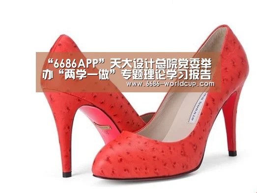 “6686APP”天大设计总院党委举办“两学一做”专题理论学习报告会(图2) 6686聚合