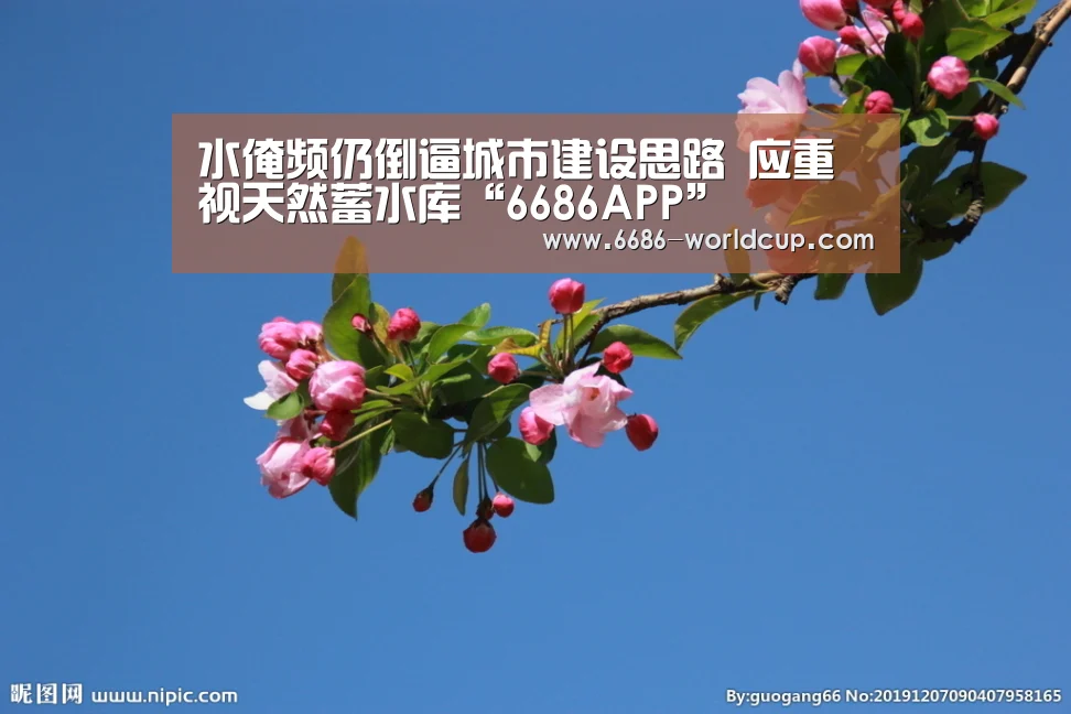 水淹频仍倒逼城市建设思路 应重视天然蓄水库“6686APP”(图1) 水淹频仍倒逼城市建设思路 应重视天然蓄水库“6686APP”(图1)