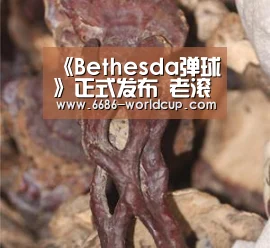 6686快讯