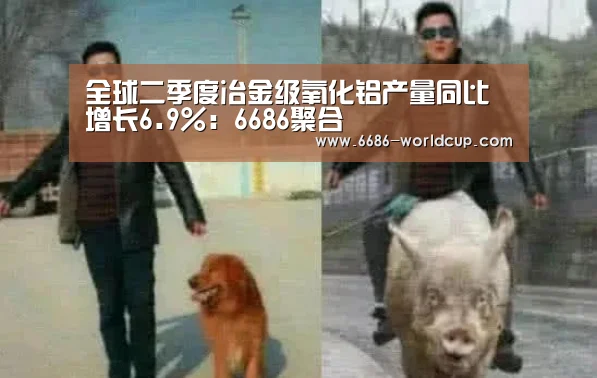 全球二季度冶金级氧化铝产量同比增长6.9%:6686聚合(图1) 6686官网