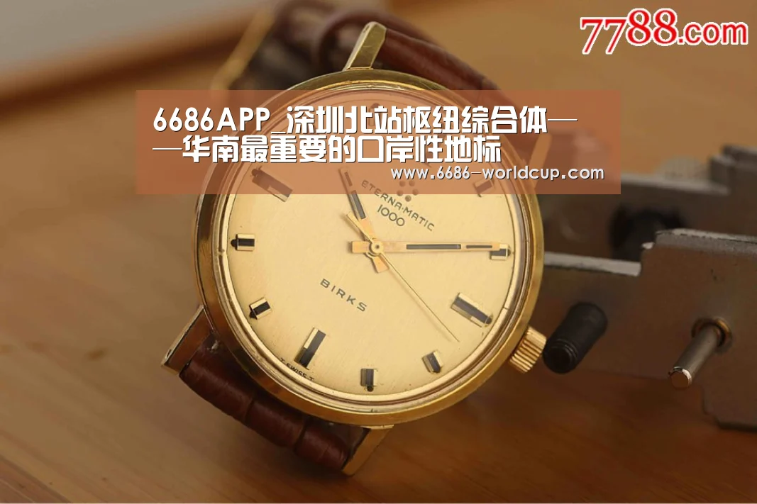 6686APP_深圳北站枢纽综合体——华南最重要的口岸性地标(图1) 6686APP_深圳北站枢纽综合体——华南最重要的口岸性地标(图1)