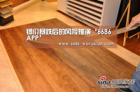 锡价暴跌后的风险推演‘6686APP’(图1) 6686快讯