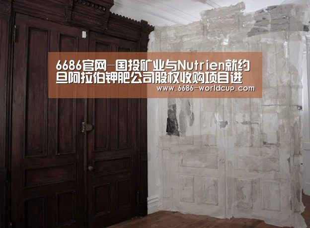 6686聚合