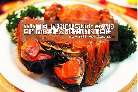 6686快讯