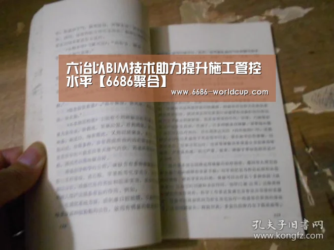 六冶以BIM技术助力提升施工管控水平【6686聚合】(图1) 6686快讯