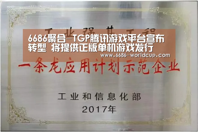 6686聚合