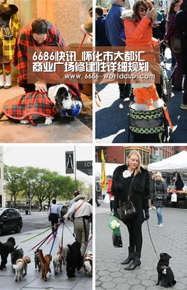 6686快讯_怀化市大都汇商业广场修建性详细规划设计建筑方案竞赛公告(图2) 6686官网