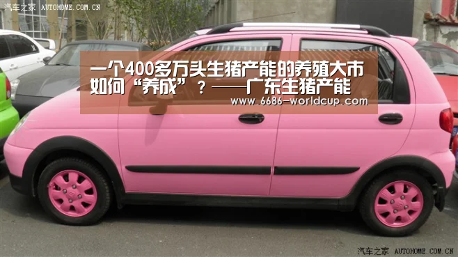 6686快讯