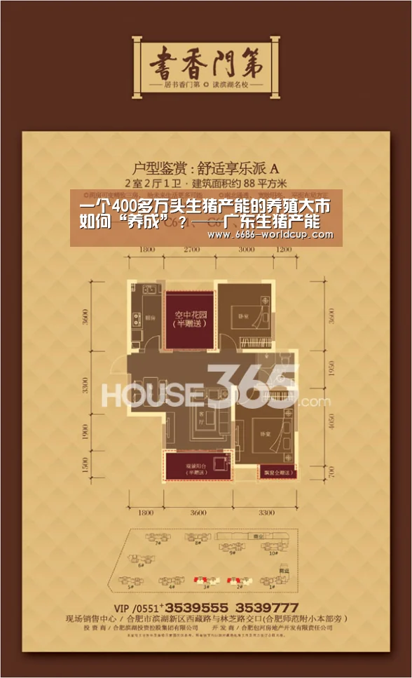 6686聚合