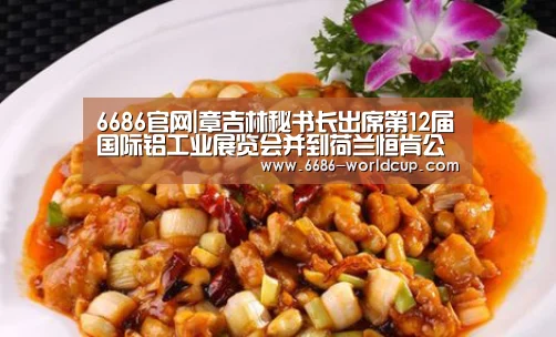 6686官网|章吉林秘书长出席第12届国际铝工业展览会并到荷兰恒肯公司调研(图2) 6686快讯
