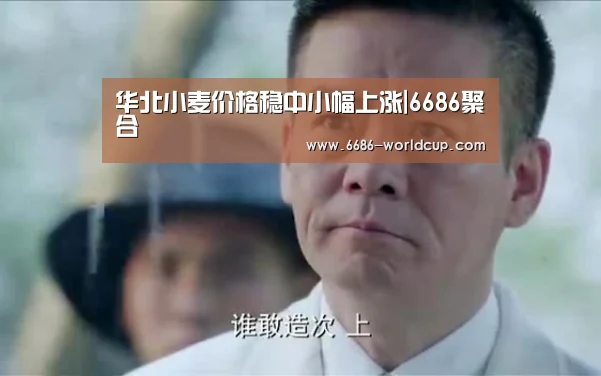 华北小麦价格稳中小幅上涨|6686聚合(图2) 6686快讯