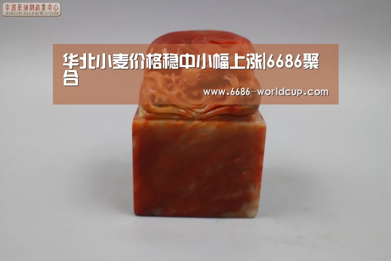 华北小麦价格稳中小幅上涨|6686聚合(图1) 6686聚合